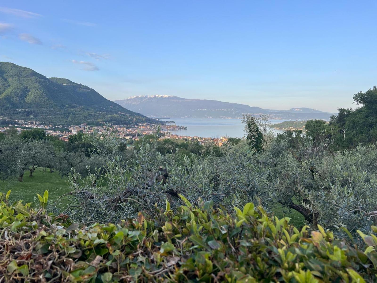 La Finestra Sul Garda Dreaming Holidays San Felice del Benaco Exterior photo